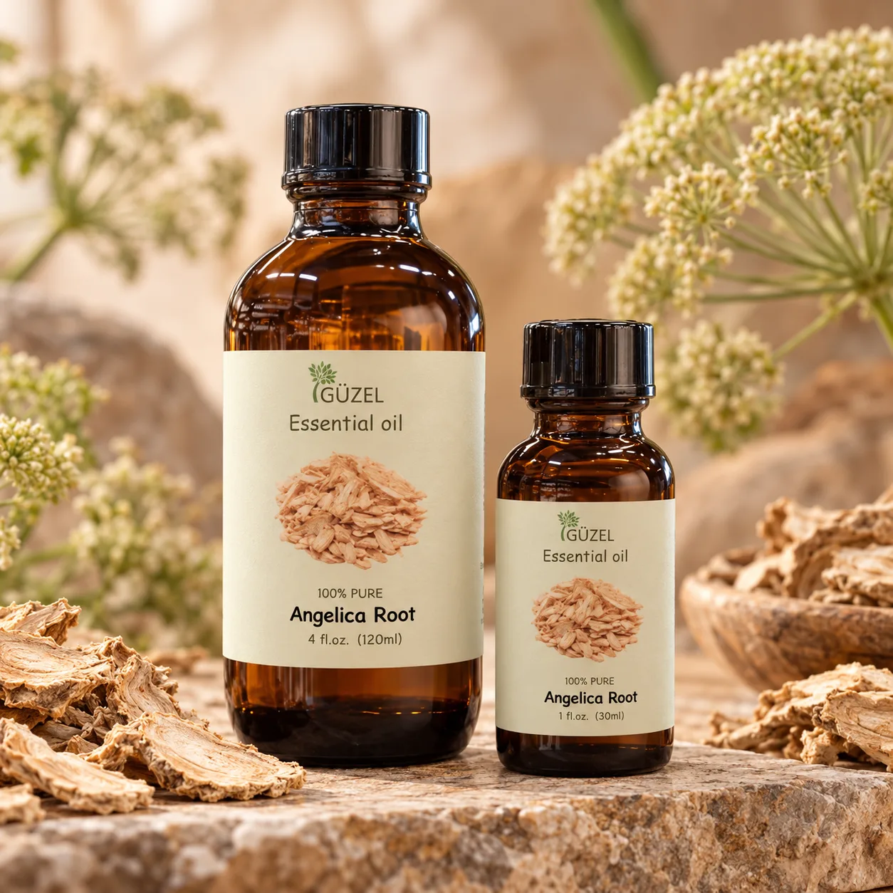 Angelica Root Essential Oil