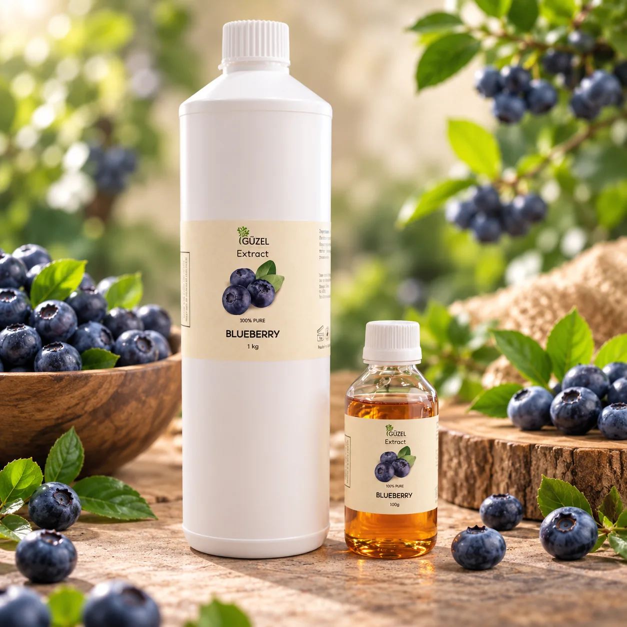Blueberry Extract